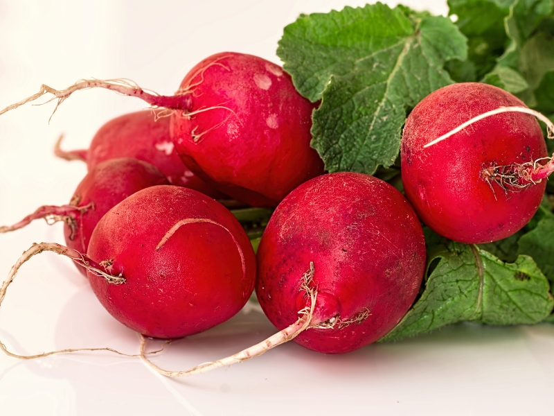 Maca Revive