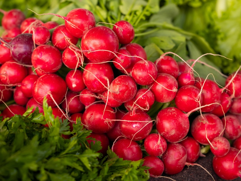 Maca Revive: Sức mạnh từ Maca Peru kết hợp dược liệu Việt
